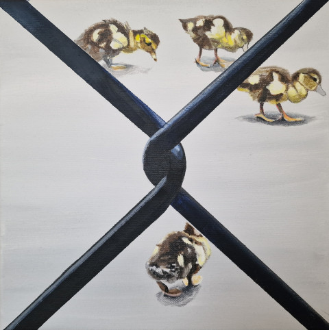 20241208 113936 (1)