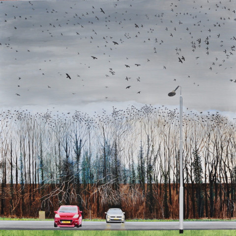 Birds