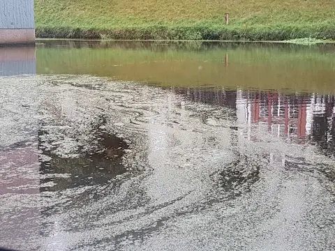 Fotografie kunst afdruk Kroost
